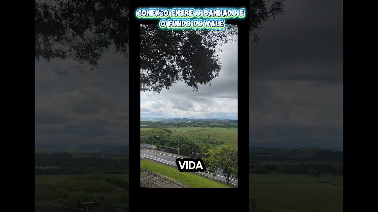 A CONEXÃO DO BANHADO COM O FUNDO DO VALE DE SÃO JOSÉ DOS CAMPOS