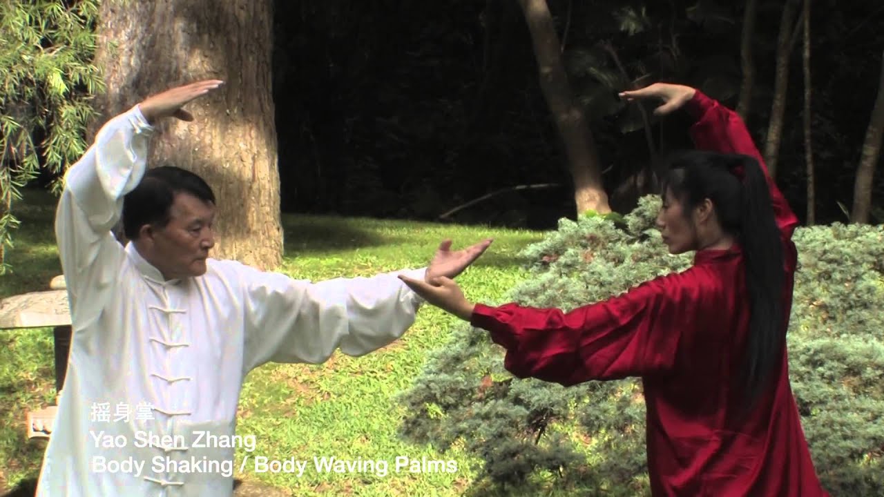 8 Energies Circle Walking with Wang Shangzhi and Zhang Xiu 11-29-2014
