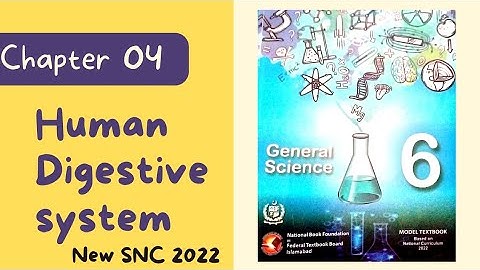 Science Class 6 |Unit 04 |Human Digestive System  |SNC New Syllabus 2022