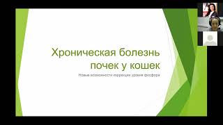 26.01.22 Вебинар ГК Хелвет х МЗВС: Новые возможности контроля уровня P Фосфора при ХБП у кошек