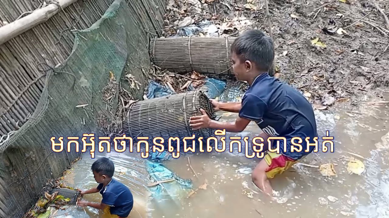 លើកទ្រូក្រែងឡូបានត្រីហូបបាយថ្ងៃត្រង់