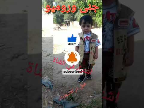 قبسات و نمسات الشيخ محمد حسان الجنه والمصير
