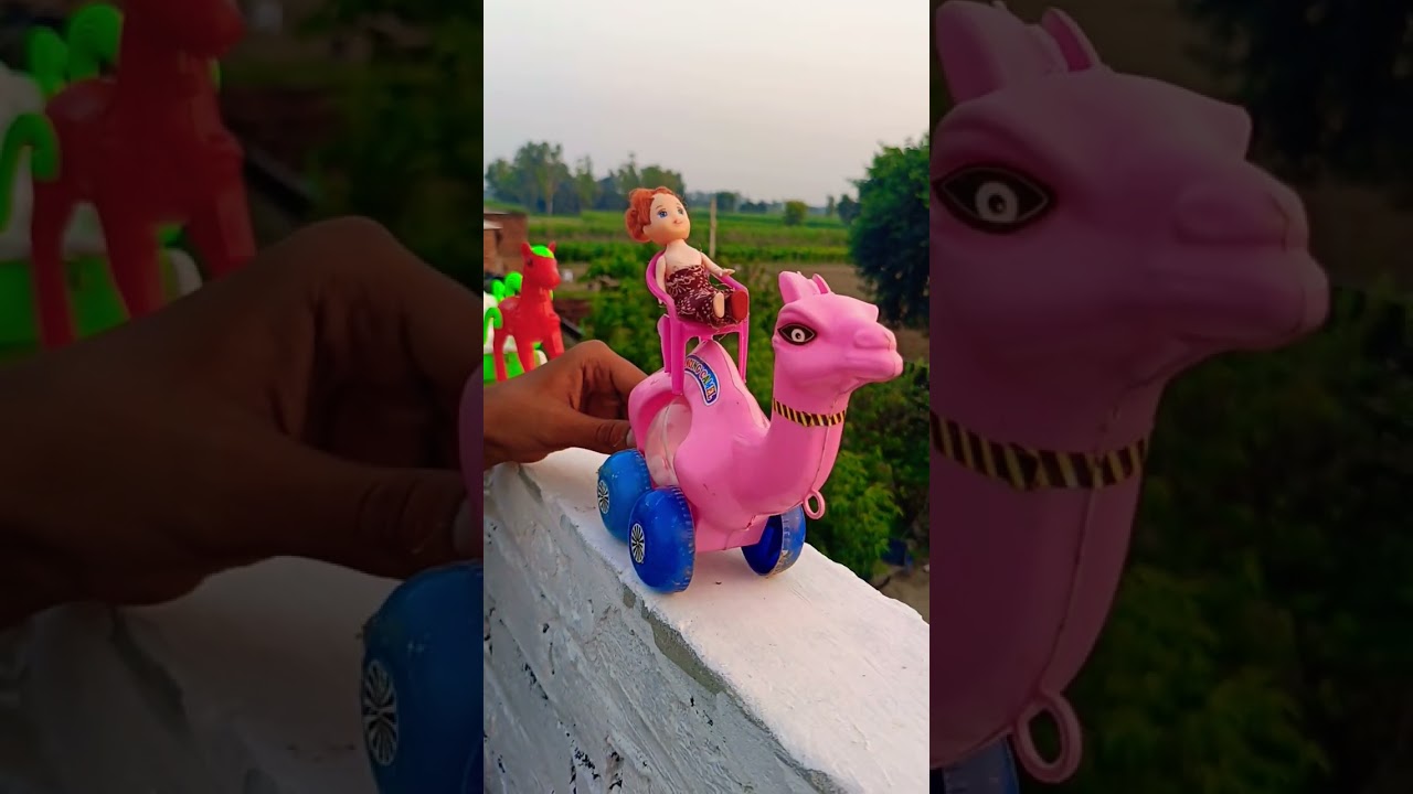 Thar Desert Ki Royal Unt Ride 👑🐪 