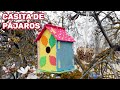 Casita para pájaros y galleta de alpiste - Manualidades fáciles para niños con Chikibox