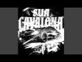 SUA CAVALONA Super Slowed