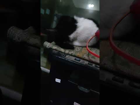 ويجز عايزه تشوف صورتها عايزه تشوف طلتها وقعنا نقوم الفشل مش النهاية الاستمرار هو الحل