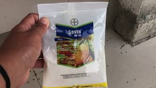 How to get rid of Ticks around your house?The cheap and effective way!