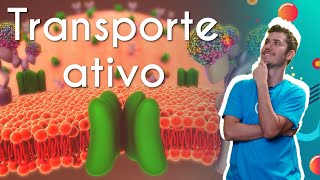 Active transport - Brazil School