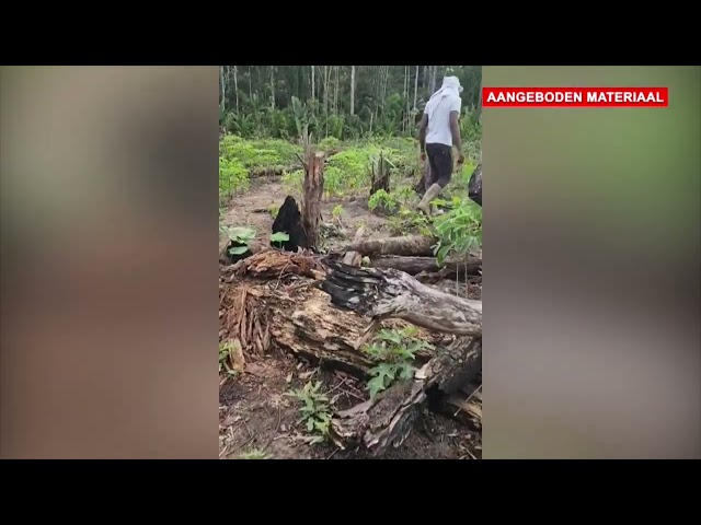 Ziekactie naar vermiste jongeman in Para gaat onverminderd door