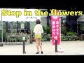 Drop in the flowers