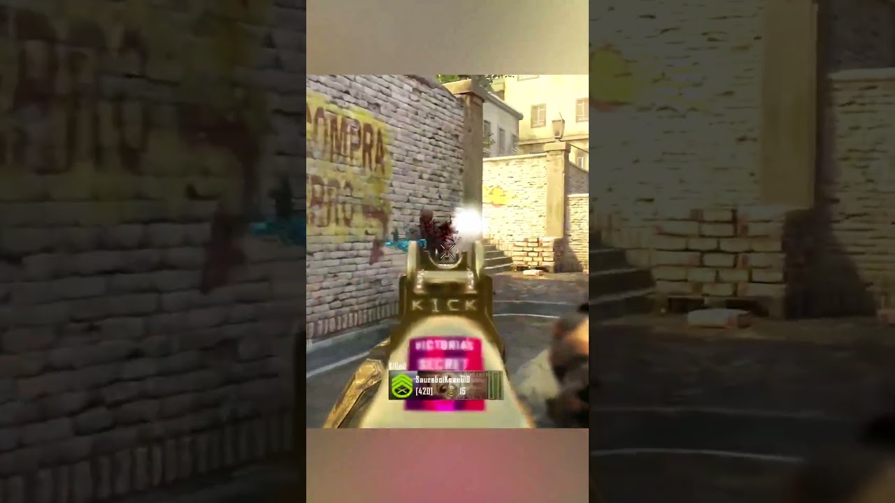 AIMBOT LIKE AIM IN BO2 😬 