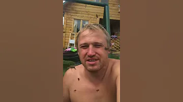 Как не бояться пчёл и ос #shorts