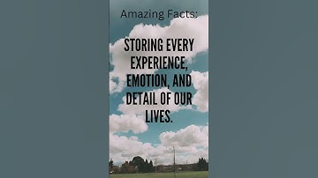 Unlocking Marvels: Amazing facts about the subconscious mind, hypnosis, and NLP @LucidBlissHypnosis