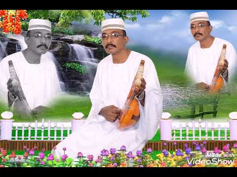 عزالدين شكري تمر الحبيب