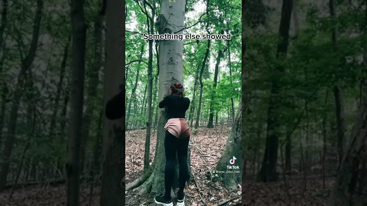 Mother banshee or the hide behind  spotted in the woods