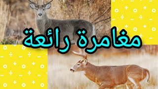 براجراف عن مغامرة رائعة a paragraph about a fantastic adventure.