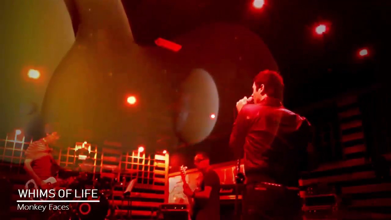 MONKEY FACES - Whims of life