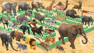 Ultimate Maze Madness Race 30 Wild Animals Speed Run Challenge: Which is the fastest Animal? ARBS