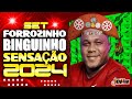 Set forrozinho binguinho sensao 2024 dj jhonathan