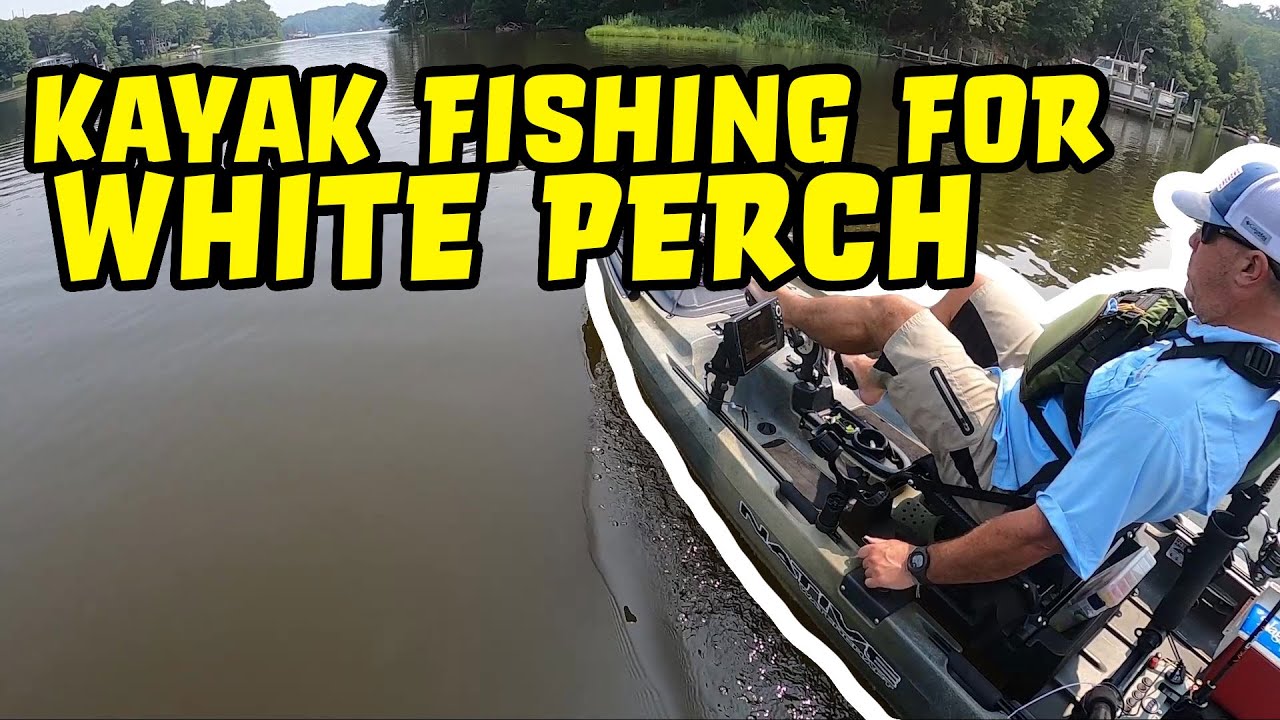 White Perch on St. Leonard Creek!
