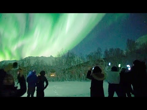 ??Chasing Lights In Tromsø, Norway