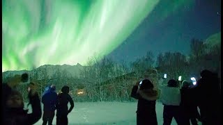 🇳🇴Chasing Lights in Tromsø, Norway