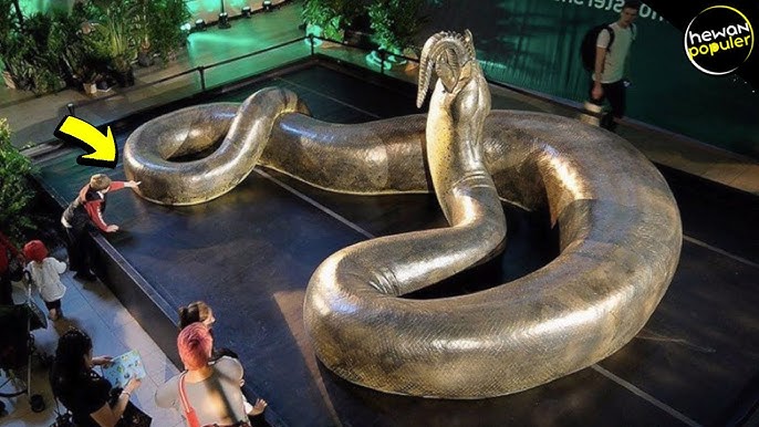 Poyezd kupesida sikilgan Omma oldida qattiq jinsiy aloqa