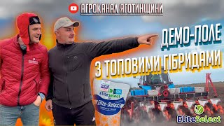 Посівна👍Сіємо гранстаровський соняшник 🌻 Еліта Селект в роботі!