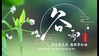 Grain Rain: Crops Growing in the Nourishing Spring Rain