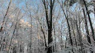 MVI_3170.AVI