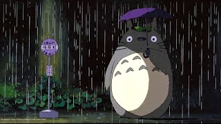 Waiting At The Bus Stop With Totoro Asmr Sleeping, Studying My Neighbor Totoro Ambience
