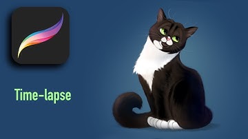 Cats: Digital Drawing Time-lapse in Procreate on Ipad Pro