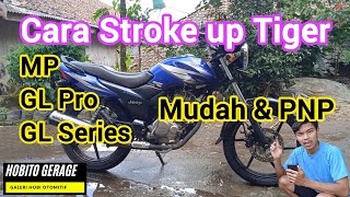 Cara Stroke up Megapro GL Series ke Tiger 200