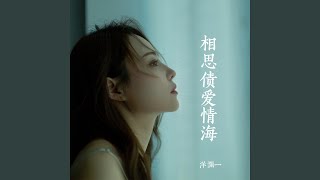 相思债爱情海