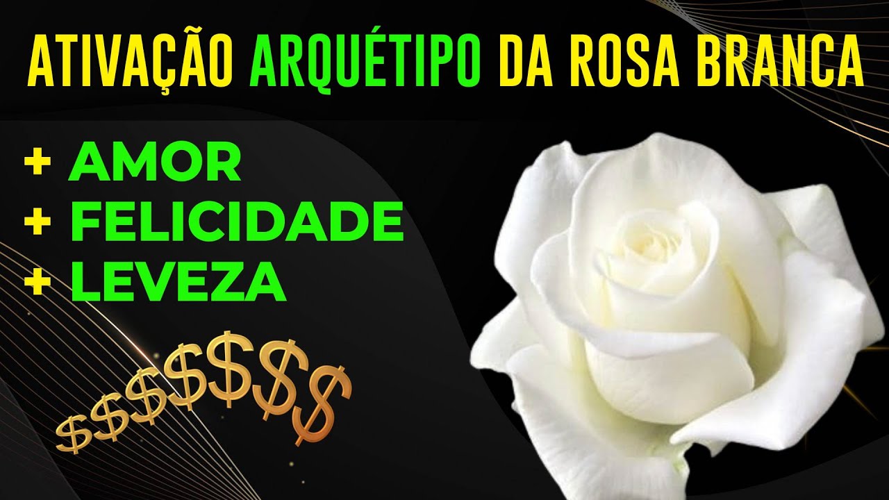 Rosa Branca Significado No Amor - NAZAEDU