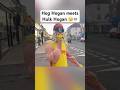 Hog Hogan Meets Hulk Hogan рџ Јрџ Ђ Hog Hogan Meets Hulk Hogan рџ Јрџ Ђ