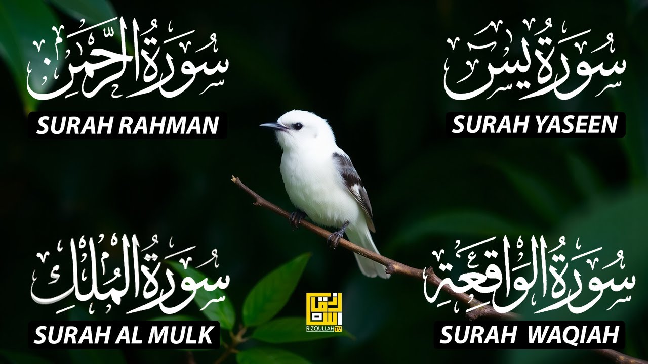 Magical Recitation Surah Yaseen (Yasin) | Surah Rahman | Surah Waqiah | Surah Mulk EP153