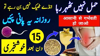 Fennel Seeds For Female Fertility and Period Problems |Saunf ka Pani ke Fayde |Trying to Conceive screenshot 5