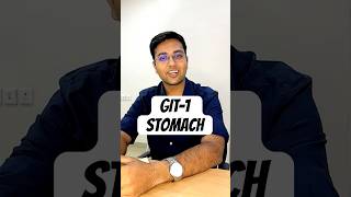 Stomach Demystifying Histology From The Rootsnotjustanotherdoctor