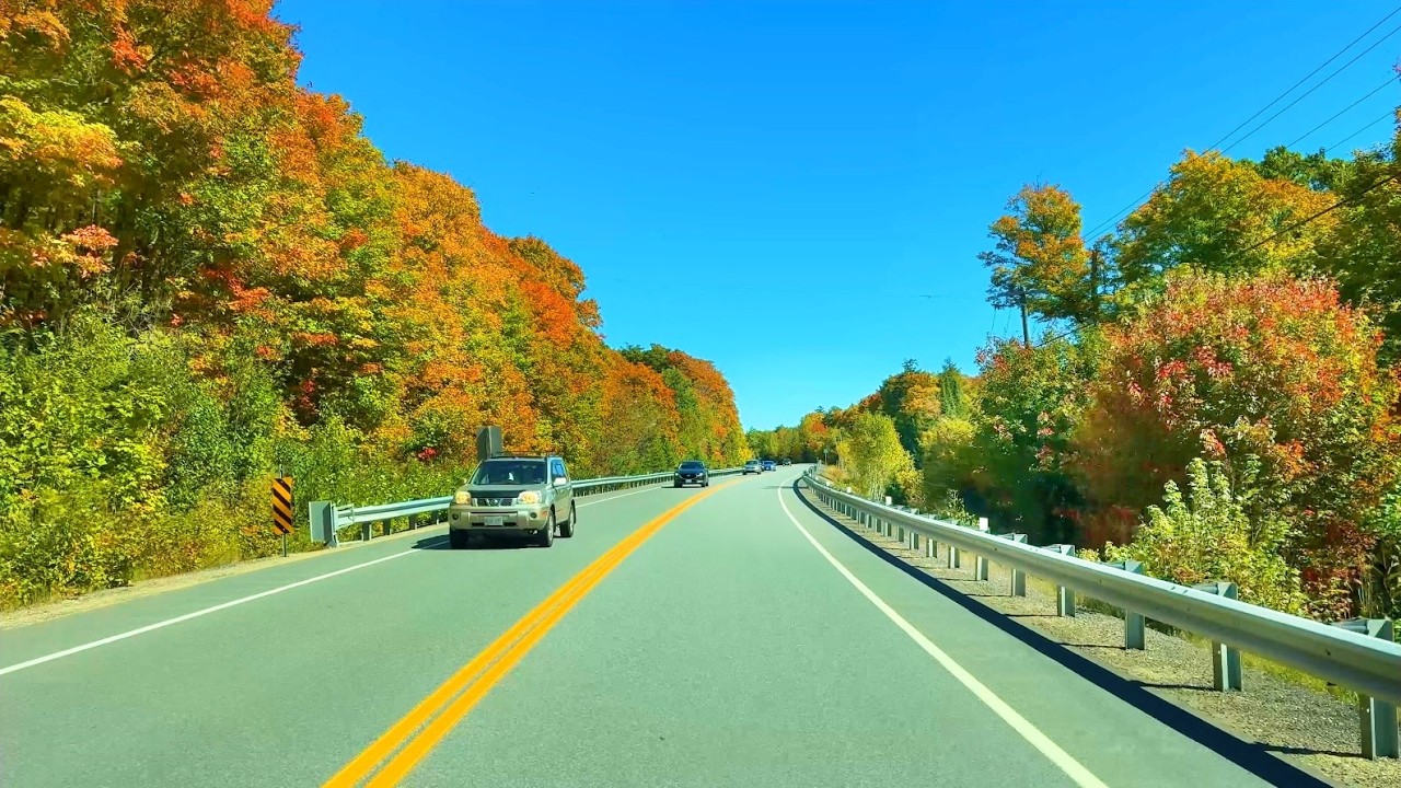 Driving from Toronto to Algonquin Park to see Autumn Foliage | 4K