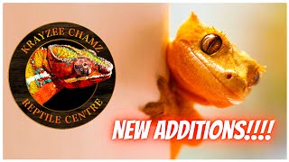 Surprising New Additions At Krazee Chamz Reptile Center - You Wont Believe What We Found