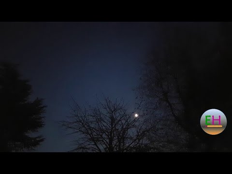 [Résonance naturelle] Connexion lunaire en lisière forestière