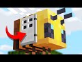 How to LIVE inside a BEE in Minecraft 1.15 Update