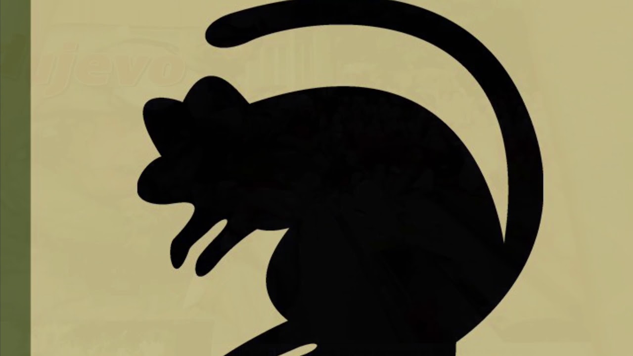 Irish Guards memories in Munster, Germany 1998-2003