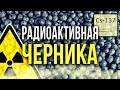 ☢  Радиоактивная Черника! [Олег Айзон]