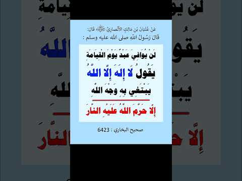 حديث شريف لن يوافي عبد يوم القيامة يقول لا إله إلا الله يبتغي به وجه الله