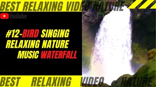 #12 - Bird Singing Relaxing Nature Music Waterfall (Sleep) 2020 screenshot 5
