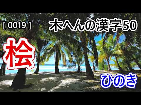 木へんの漢字50