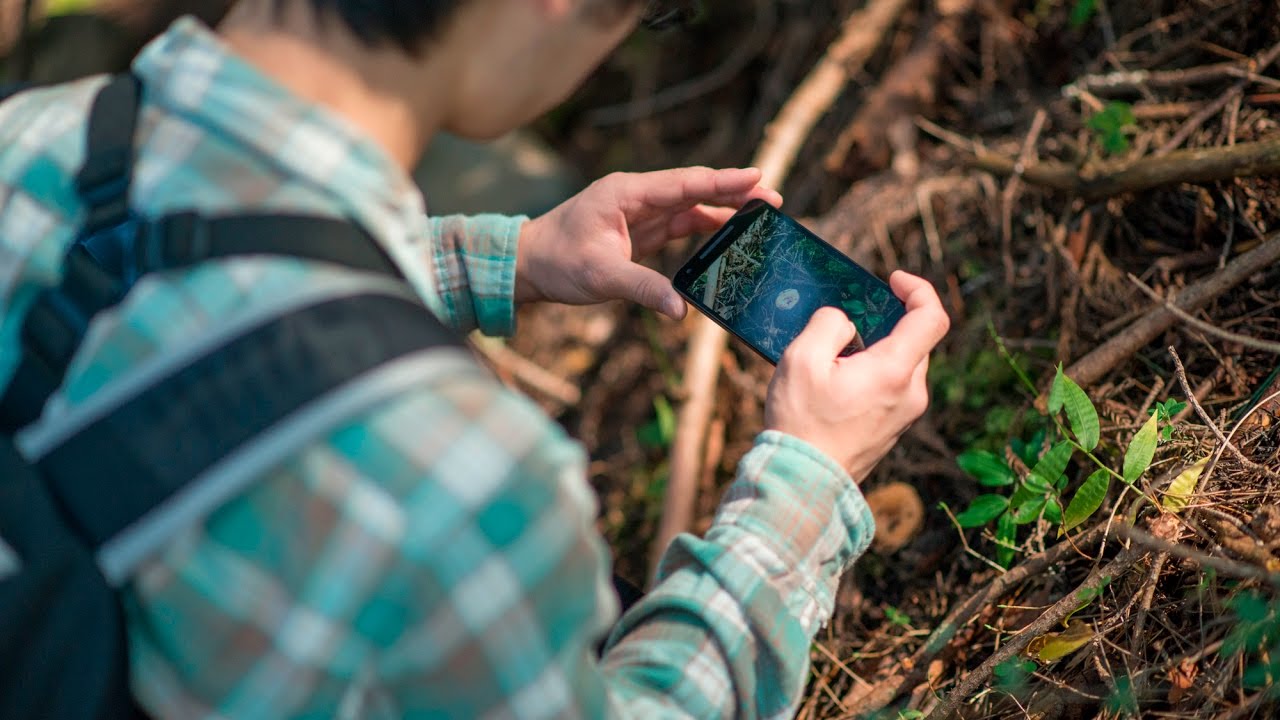 自然調査のデジタル化で、より価値の高い自然体験を Digitize wildlife recording for better