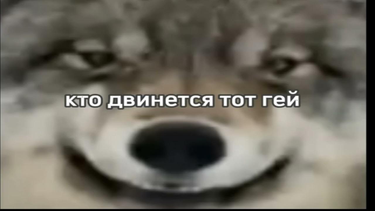 Кто двинется тот. Скала мем кто двинется. Мем кто двинется тот гец. Кто двинется тот негр. Кто двинется тот гуй.